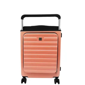 1791RS2, Airliner - Small Suitcase 20" - Rose